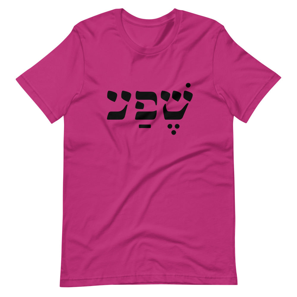 Abundance (in Hebrew) Unisex T-Shirt